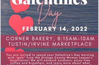 Flyer that reads: "OCWLA invites you to Galentin'es Day February 14, 2022"